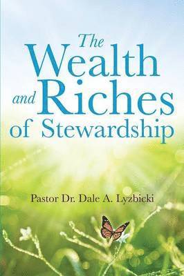 bokomslag The Wealth and Riches of Stewardship