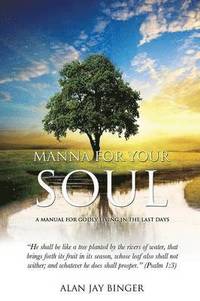 bokomslag Manna for Your Soul