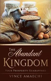 bokomslag The Abundant Kingdom