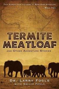 bokomslag Termite Meatloaf and Other Adventure Stories