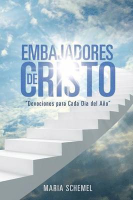 bokomslag Embajadores de Cristo