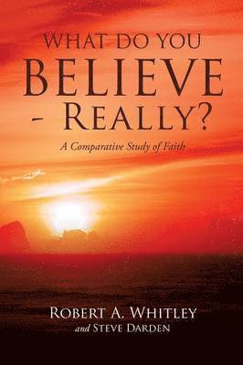 What Do You Believe - Really? 1