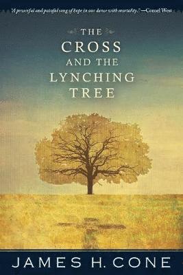 bokomslag The Cross and the Lynching Tree