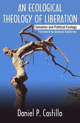 Daniel P. Castillo - Ecological Theology of Liberation, Häftad