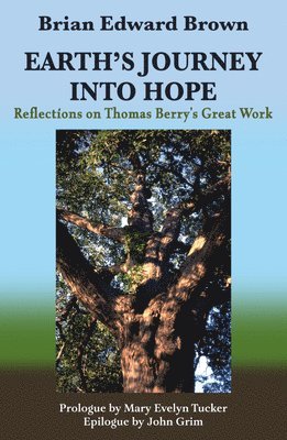bokomslag Earth's Journey Into Hope