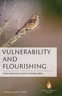 bokomslag Vulnerability and Flourishing