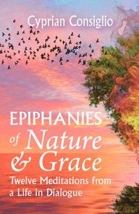 bokomslag Epiphanies of Nature and Grace: Twelve Meditations from a Life in Dialogue