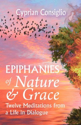 Epiphanies of Nature and Grace: Twelve Meditations from a Life in Dialogue 1