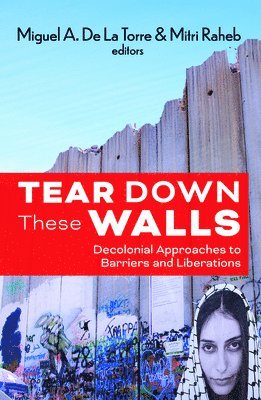 bokomslag Tear Down These Walls