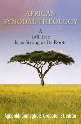 African Synodal Theology 1