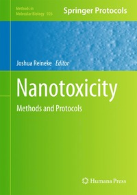 bokomslag Nanotoxicity