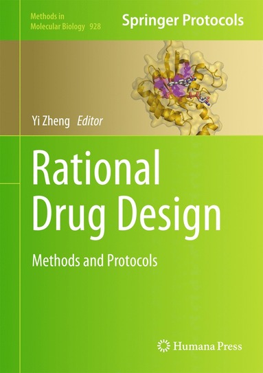 bokomslag Rational Drug Design