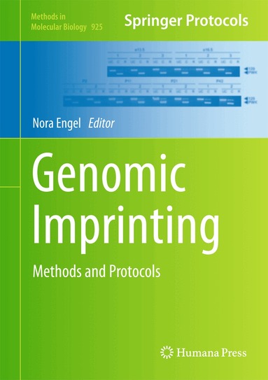 Nora Engel - Genomic Imprinting, Inbunden