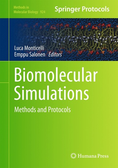 bokomslag Biomolecular Simulations