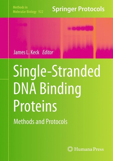 bokomslag Single-Stranded DNA Binding Proteins