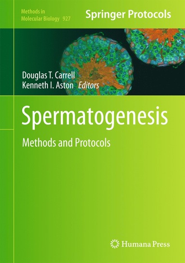 bokomslag Spermatogenesis