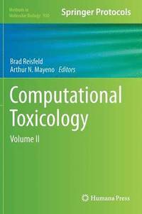 bokomslag Computational Toxicology