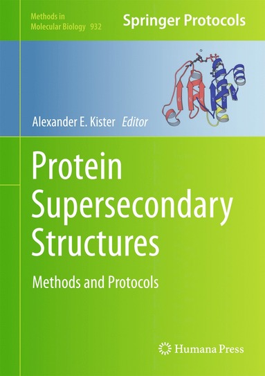 bokomslag Protein Supersecondary Structures