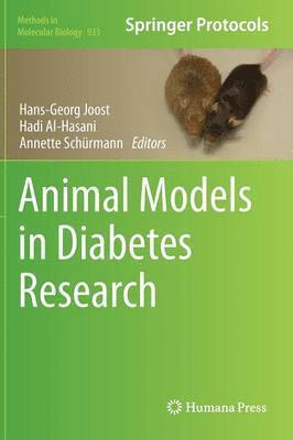 bokomslag Animal Models in Diabetes Research