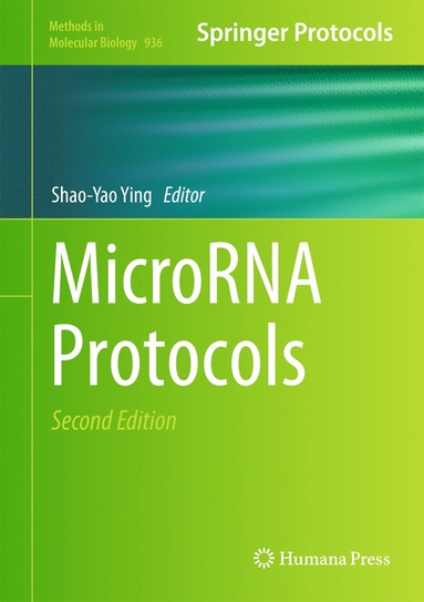 bokomslag MicroRNA Protocols