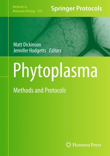 bokomslag Phytoplasma