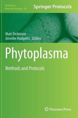 Phytoplasma 1