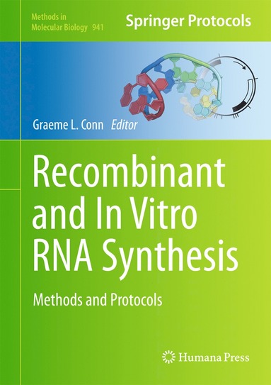 bokomslag Recombinant and In Vitro RNA Synthesis