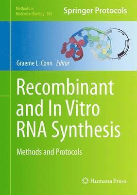 Recombinant and In Vitro RNA Synthesis 1