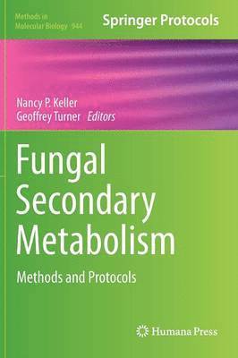 bokomslag Fungal Secondary Metabolism