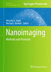 bokomslag Nanoimaging