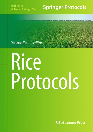 bokomslag Rice Protocols