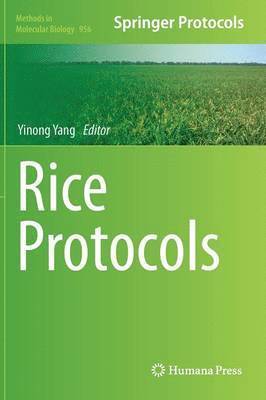 Rice Protocols 1