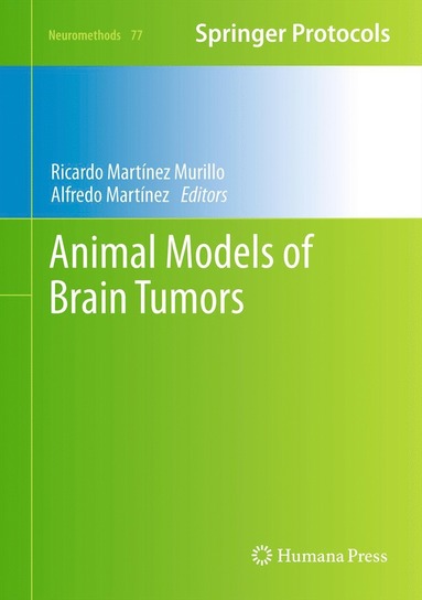 bokomslag Animal Models of Brain Tumors