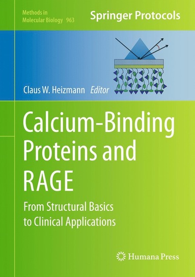 bokomslag Calcium-Binding Proteins and RAGE