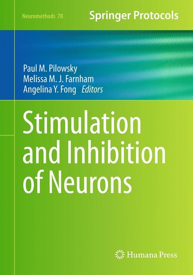 bokomslag Stimulation and Inhibition of Neurons