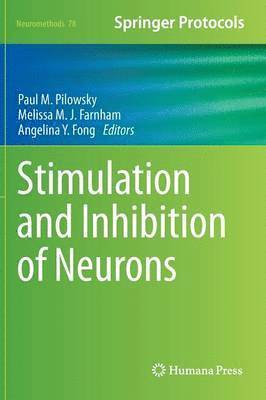 Stimulation and Inhibition of Neurons