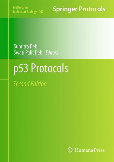 bokomslag p53 Protocols