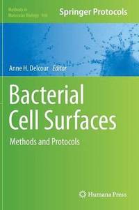 bokomslag Bacterial Cell Surfaces