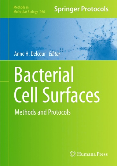 bokomslag Bacterial Cell Surfaces