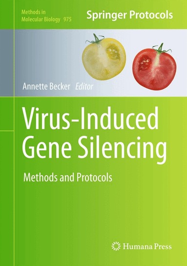 Annette Becker - Virus-Induced Gene Silencing, Inbunden