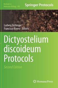 bokomslag Dictyostelium discoideum Protocols