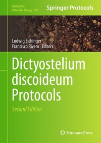 bokomslag Dictyostelium discoideum Protocols