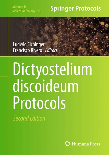 Ludwig Eichinger, Francisco Rivero - Dictyostelium discoideum Protocols, Inbunden