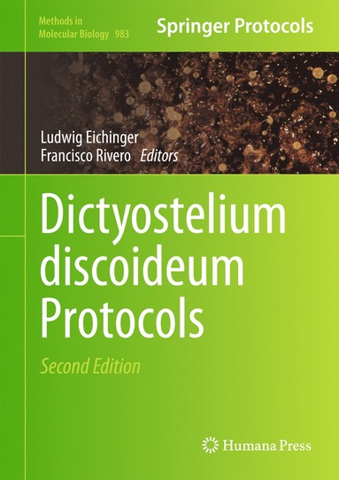 bokomslag Dictyostelium discoideum Protocols