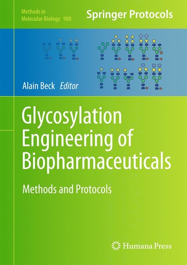 bokomslag Glycosylation Engineering of Biopharmaceuticals