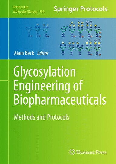 bokomslag Glycosylation Engineering of Biopharmaceuticals