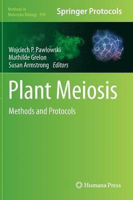 Plant Meiosis 1