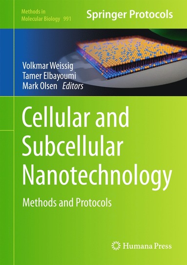 bokomslag Cellular and Subcellular Nanotechnology