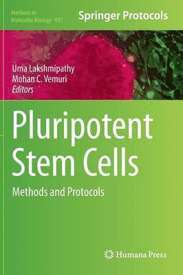Pluripotent Stem Cells 1