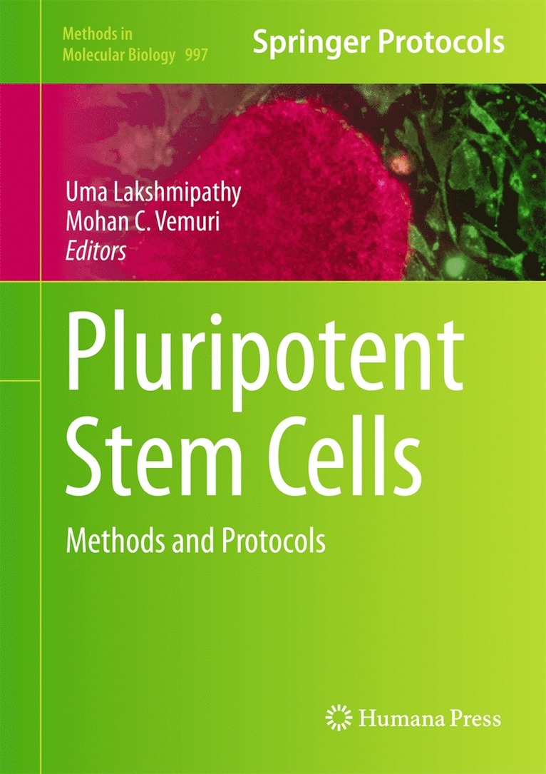 Pluripotent Stem Cells 1